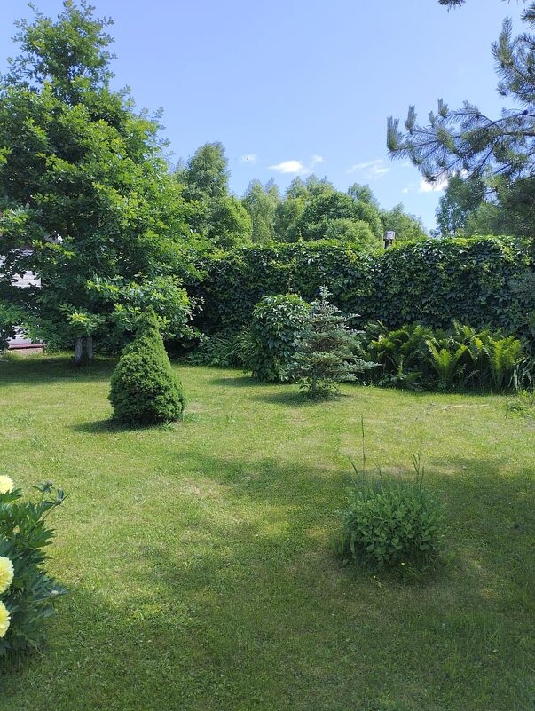 Лето на даче. - Ольга Довженко