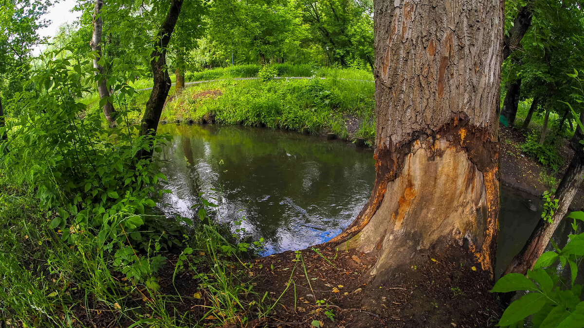 ***** - юрий поляков