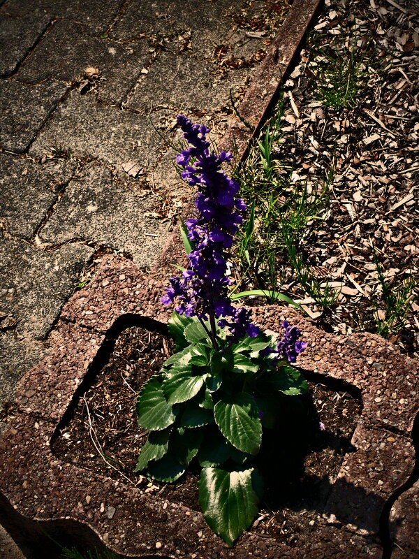 Летние этюды 44 - Алексей Кузнецов