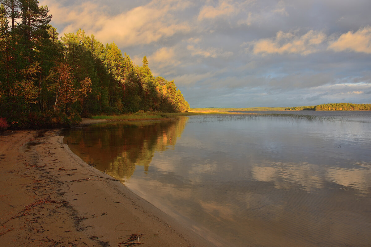*** - Александр Хаецкий