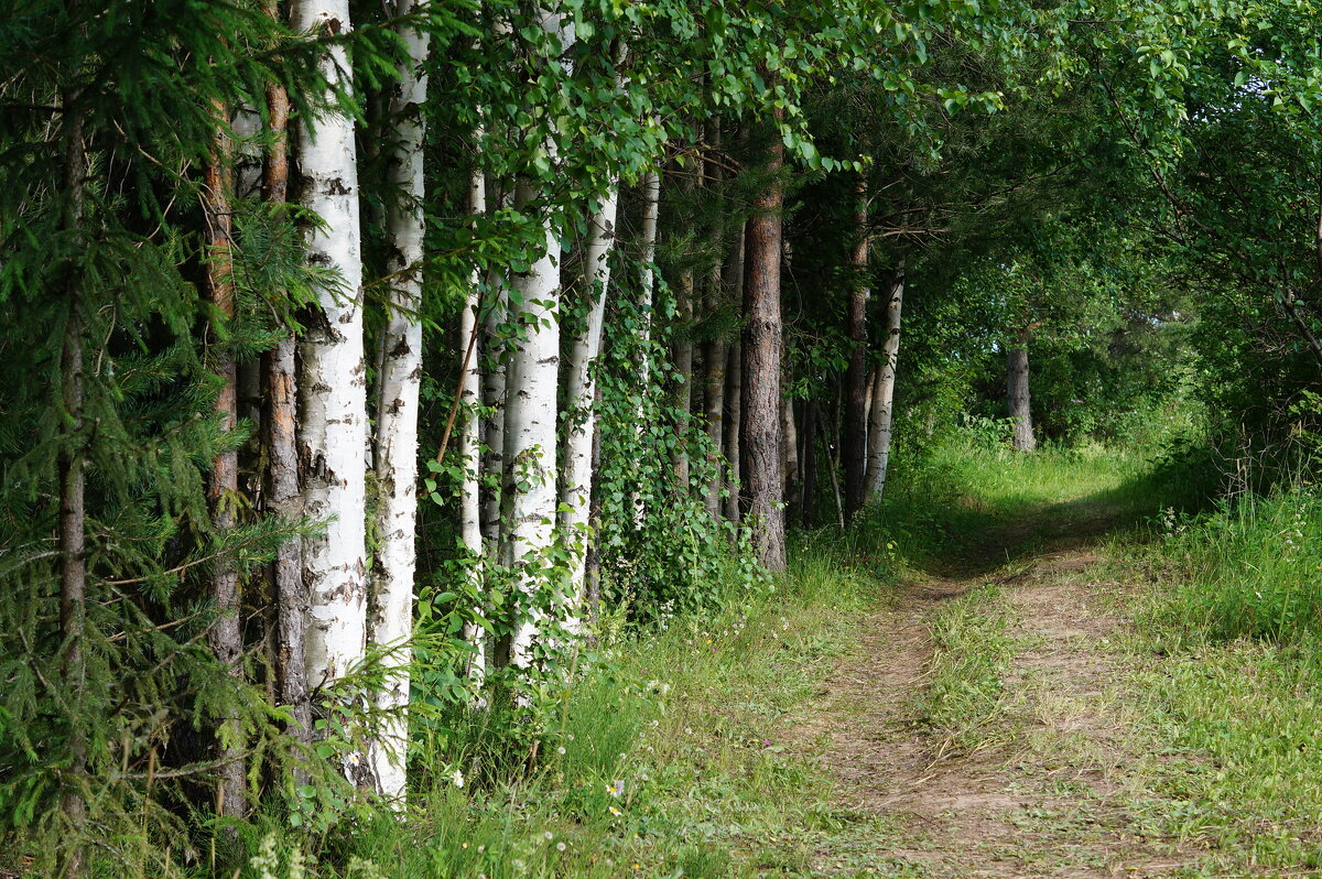 Дорожка - Сергей Ц