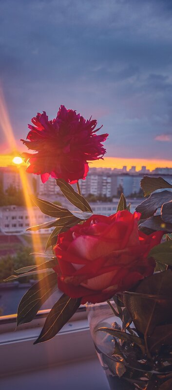 Луч солнца золотого тьмы скрыла пелена... - Леонид Абросимов