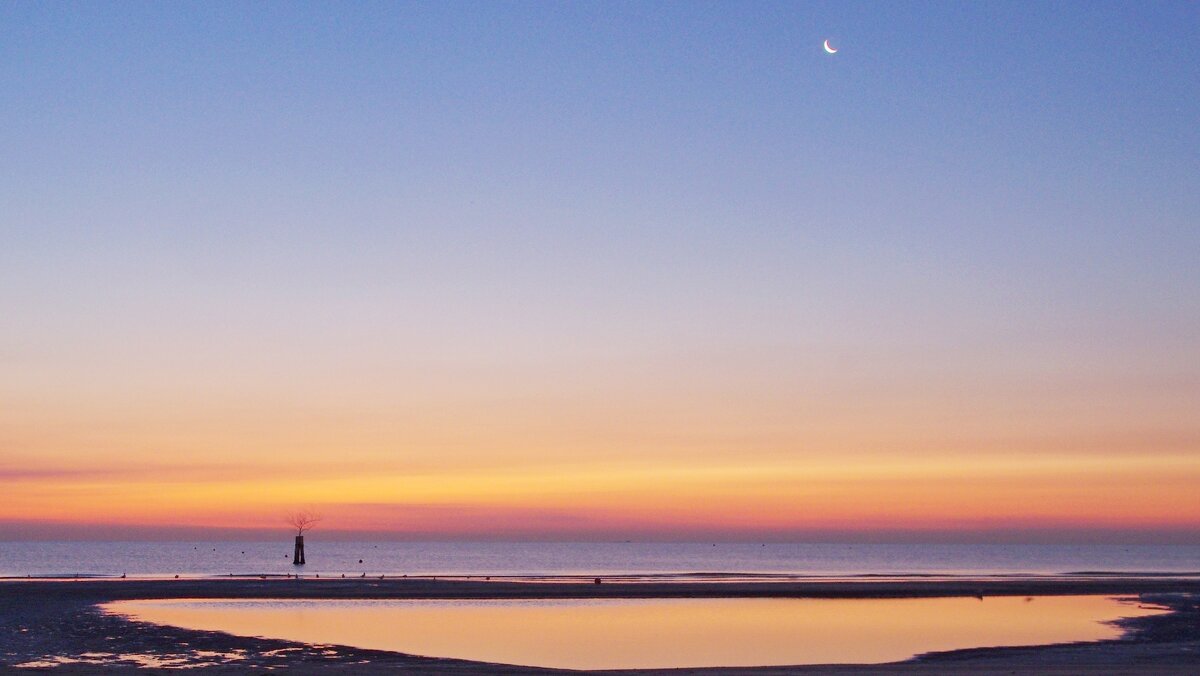 Тишина на рассвете - Сергей Швечков