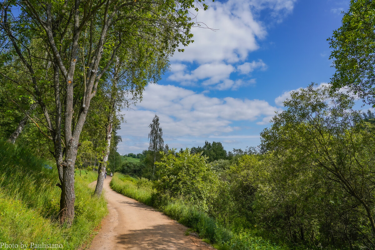 Тропинками лета... - Владимир Жданов Тропинками лета... - Владимир Жданов