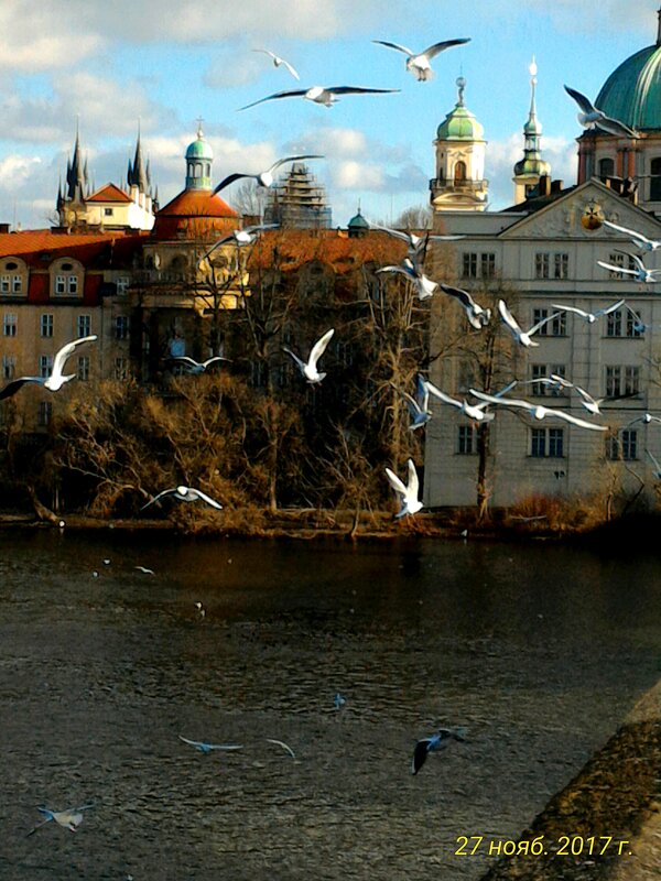 Прага - Натали 