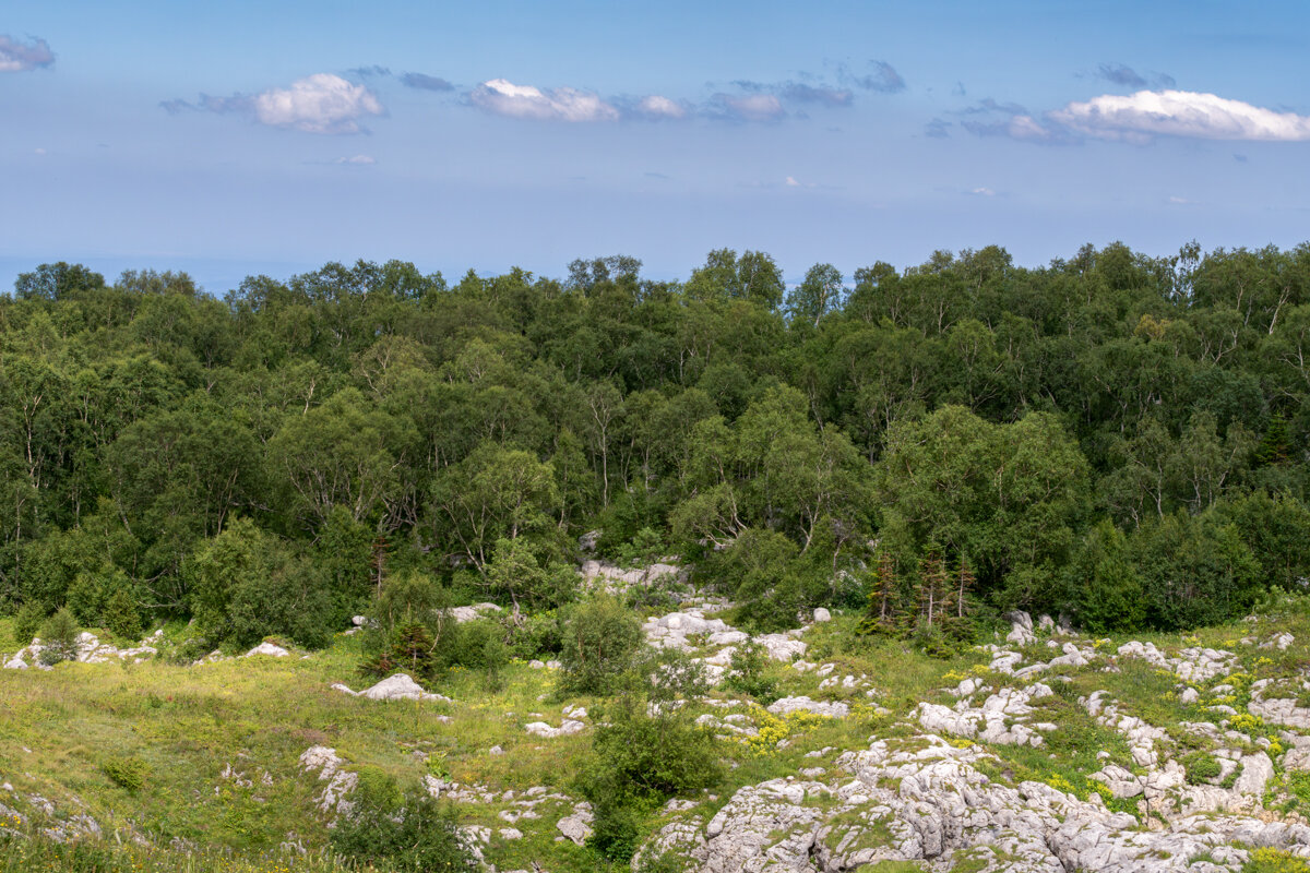 Плато Лаго-Наки - Игорь Сикорский
