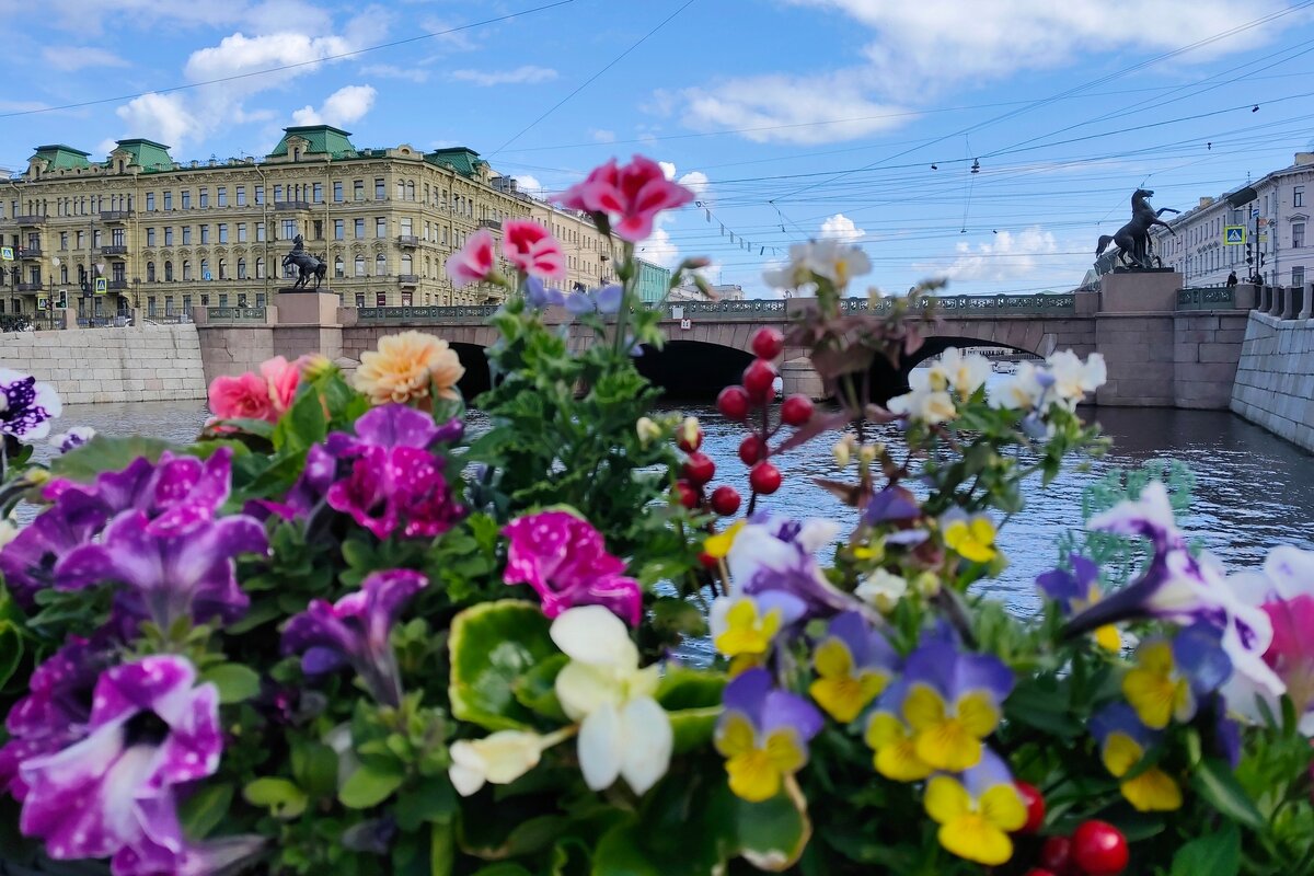 Вид на мост c цветами..) - tipchik Вид на мост c цветами..) - tipchik