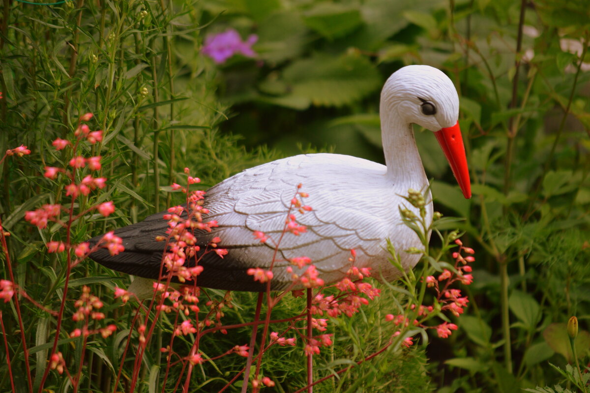 Садовый этюд - Татьяна Лютаева