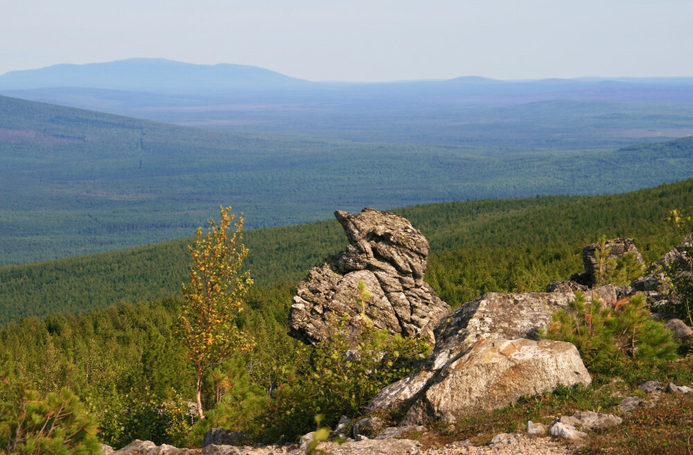 Каменная птица - Галина Ильясова