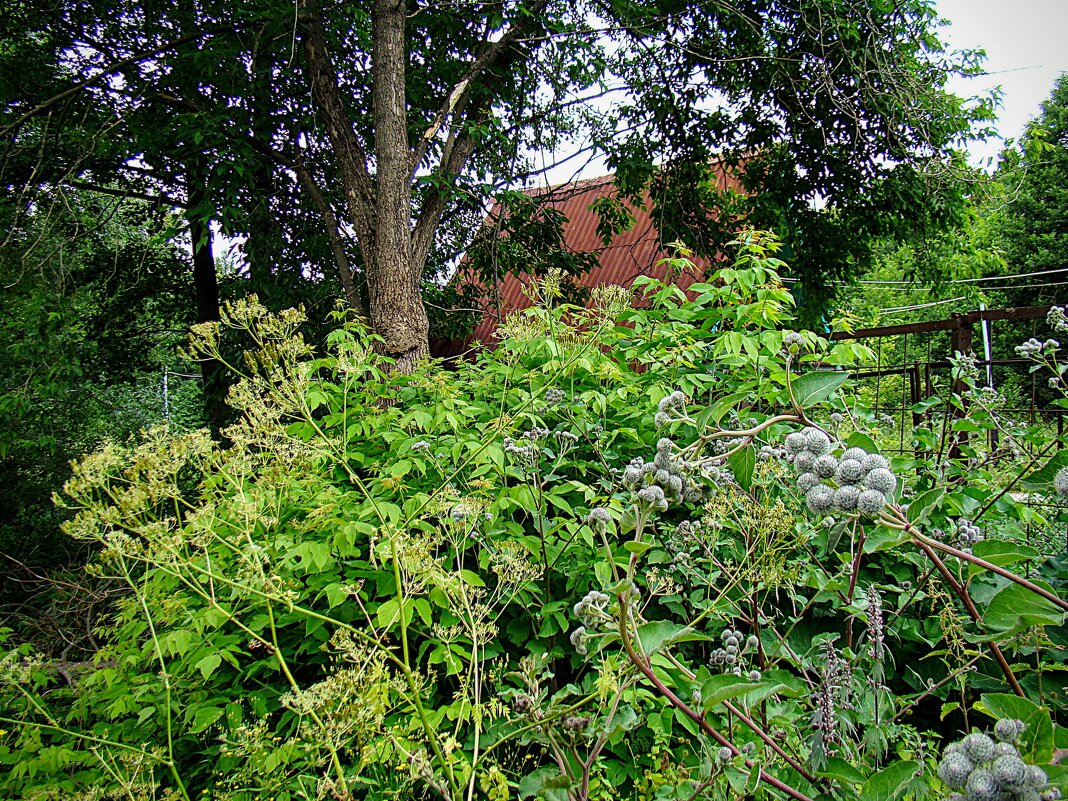 Усадьба , в которую не попали,,,, - Анатолий Колосов