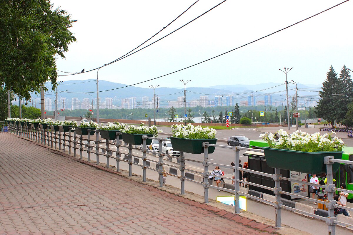 Мой Красноярск - Василий 