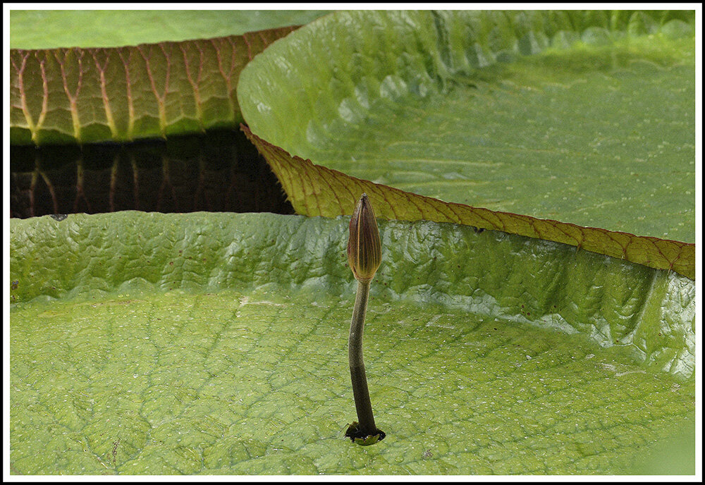 ...я свободен... - Aleksandr Gal