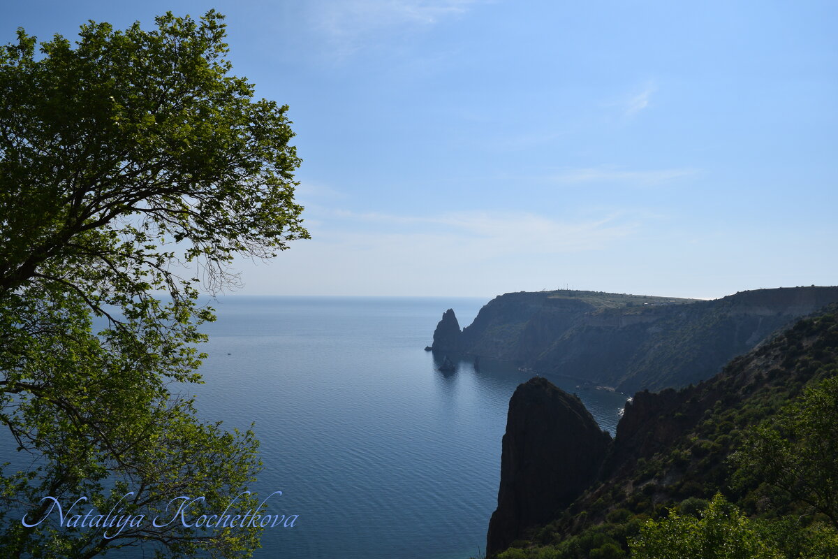 Природа Крыма - Amazing Cosmea