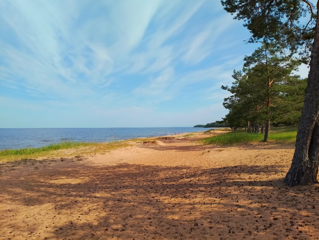 Пляж   Липово - Cергей Кочнев