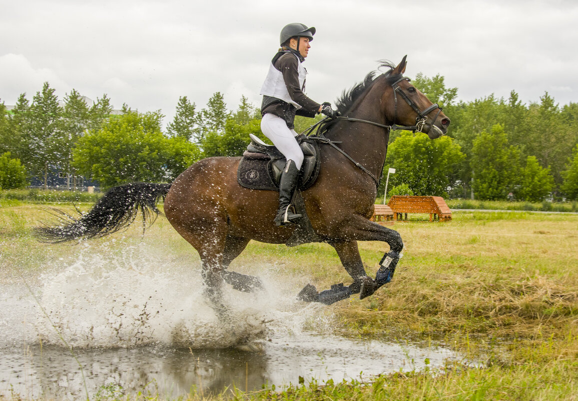 Кросс. - Татьяна Титова Кросс. - Татьяна Титова