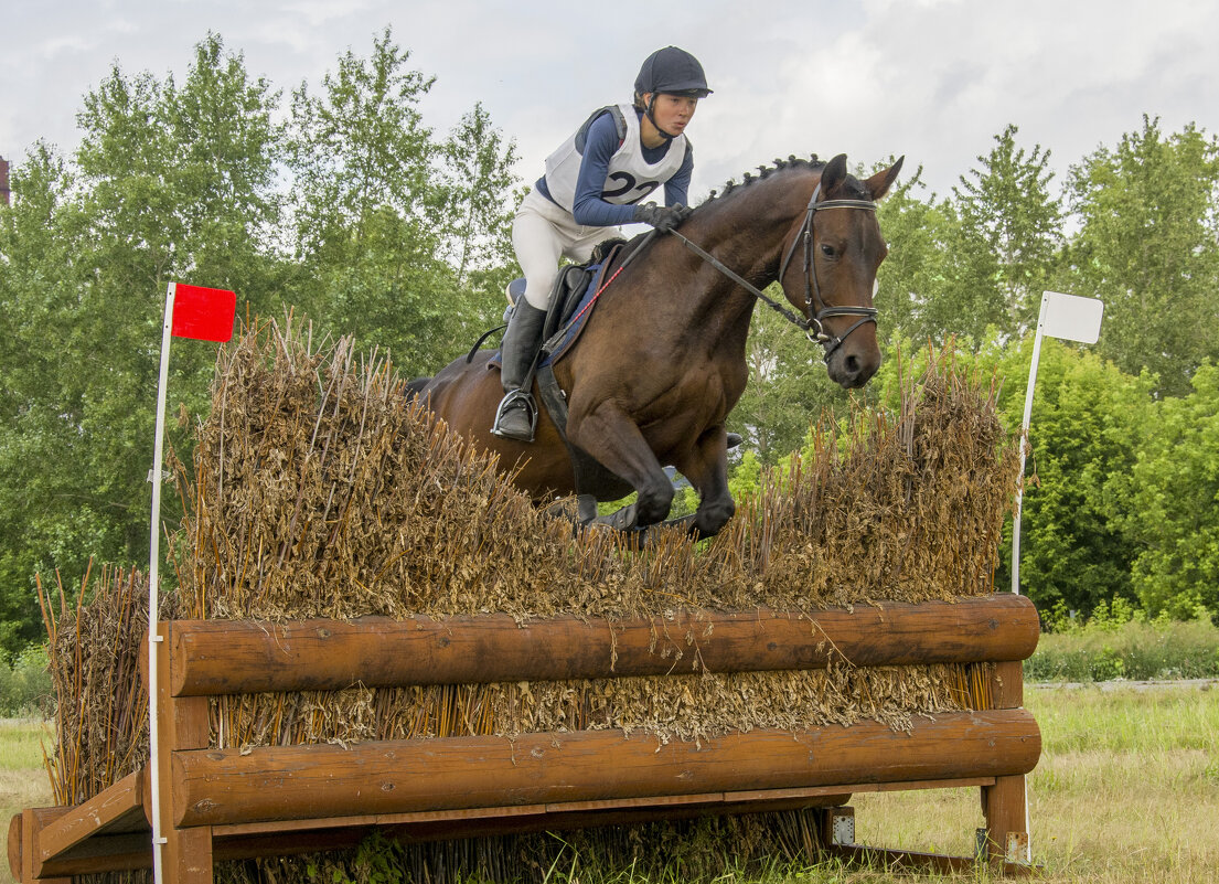 Кросс - Татьяна Титова