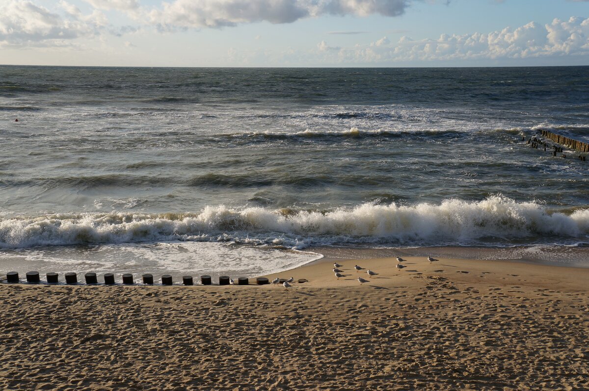 ~~~ * * * ~~~ - Алёна Савина ~~~ * * * ~~~ - Алёна Савина