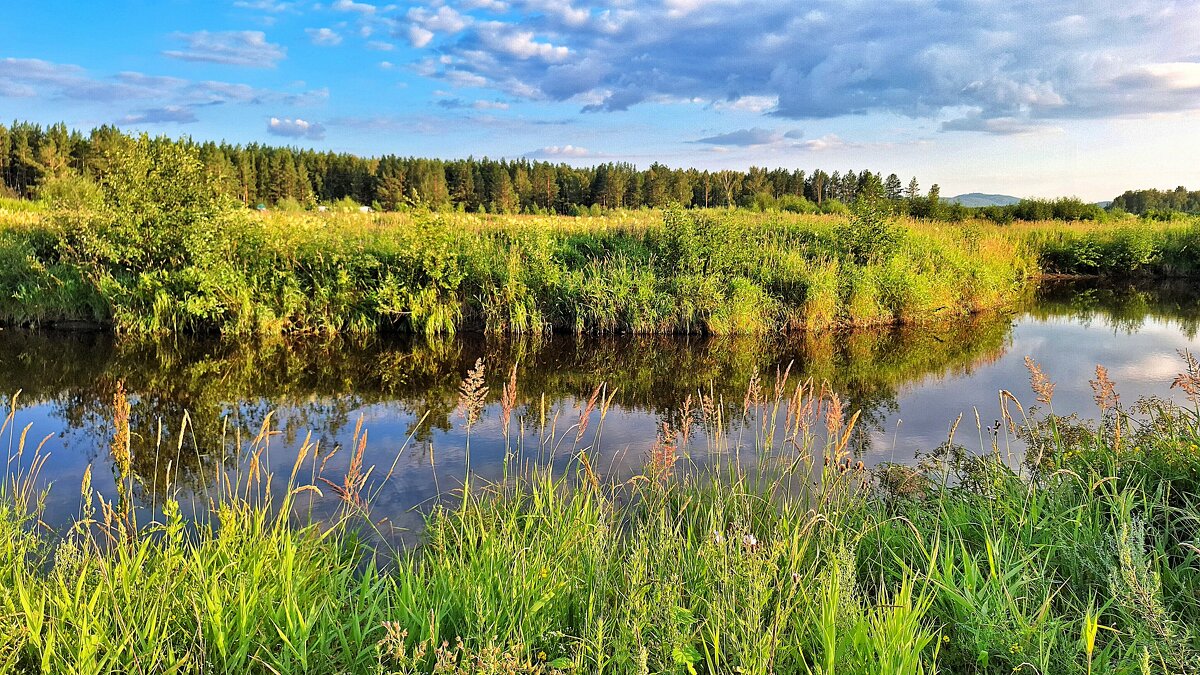 В зелёном лесу, на зелёной травинке - Hope 