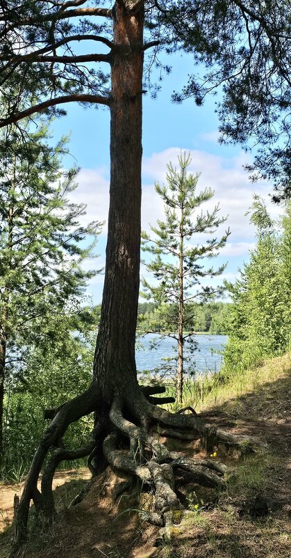 ЯрБайкал - Михаил Свиденцов
