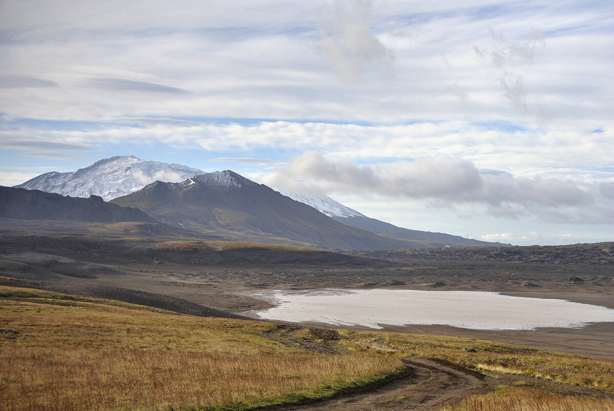 *** - Марина Виноградова