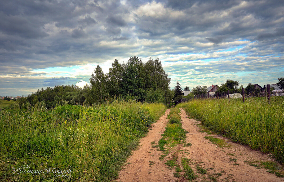 "К околице в июне"© - Владимир Макаров