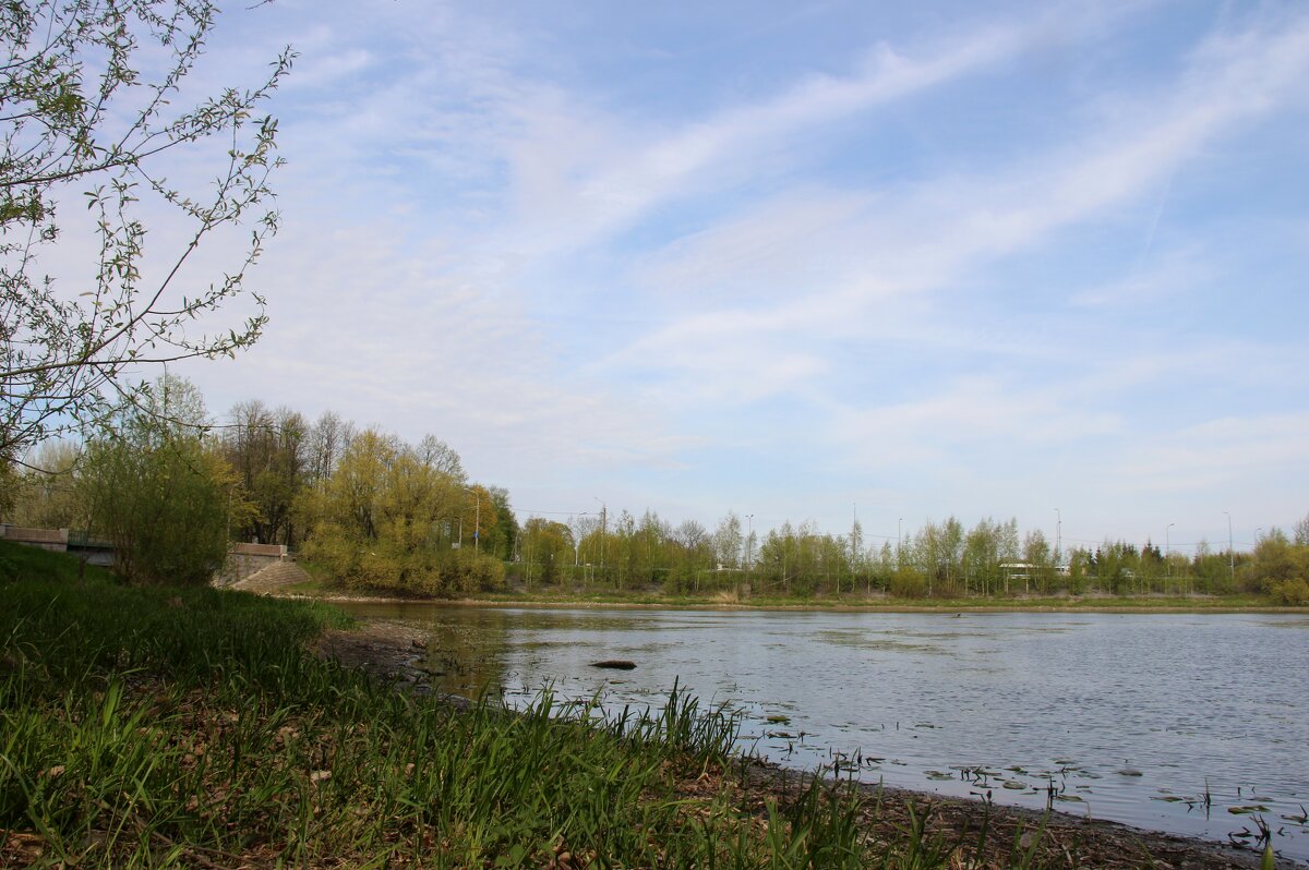 Стрельна. Орловский пруд - Наталья Герасимова Стрельна. Орловский пруд - Наталья Герасимова