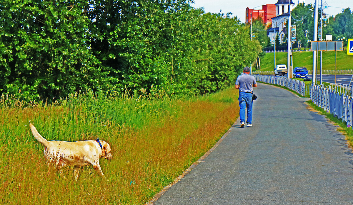 Мне так хорошо без поводка! - Владимир 