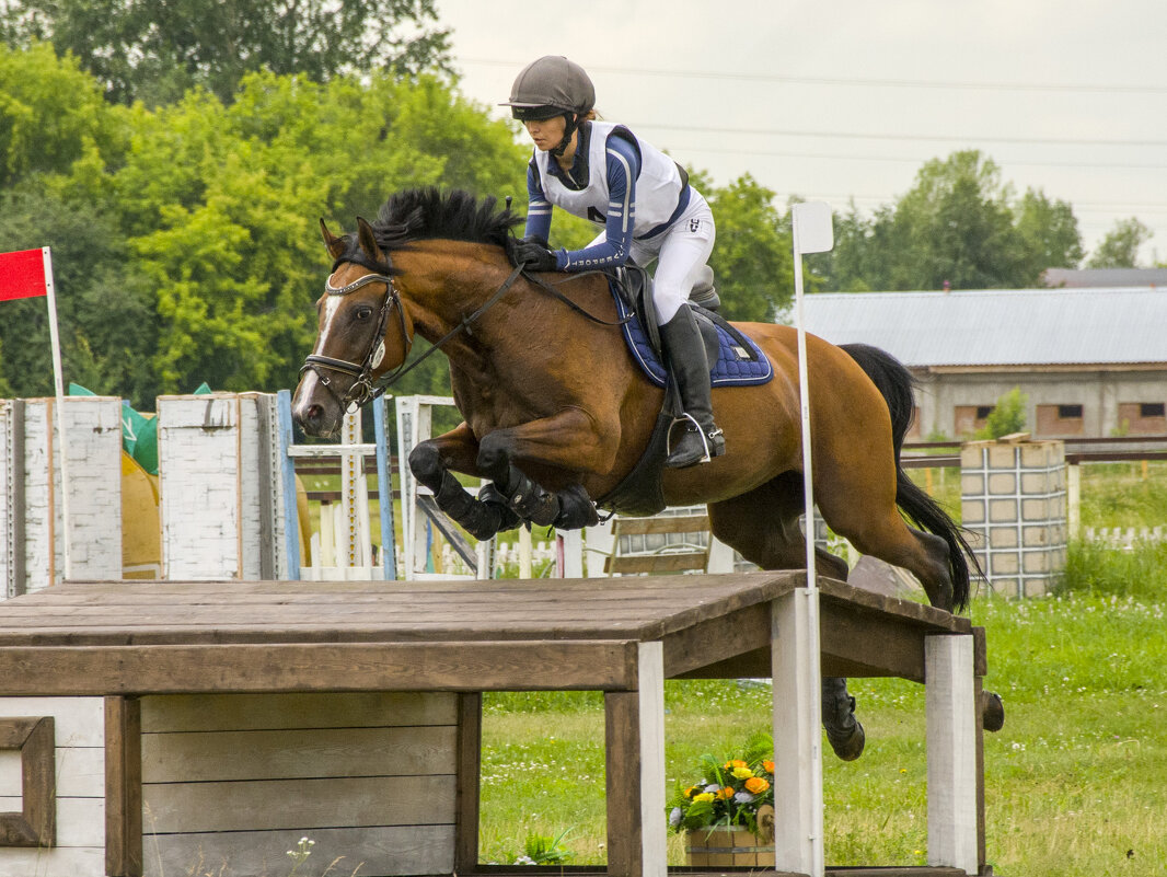 Кросс - Татьяна Титова