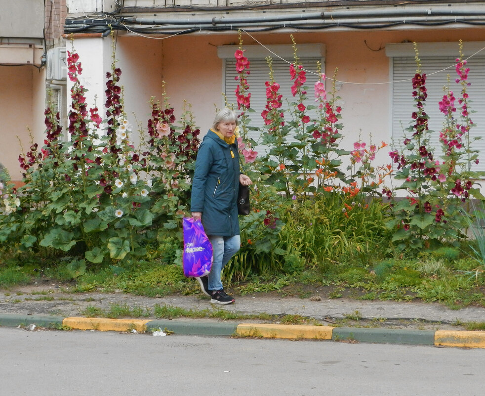 городские цветы 2 - Лера 