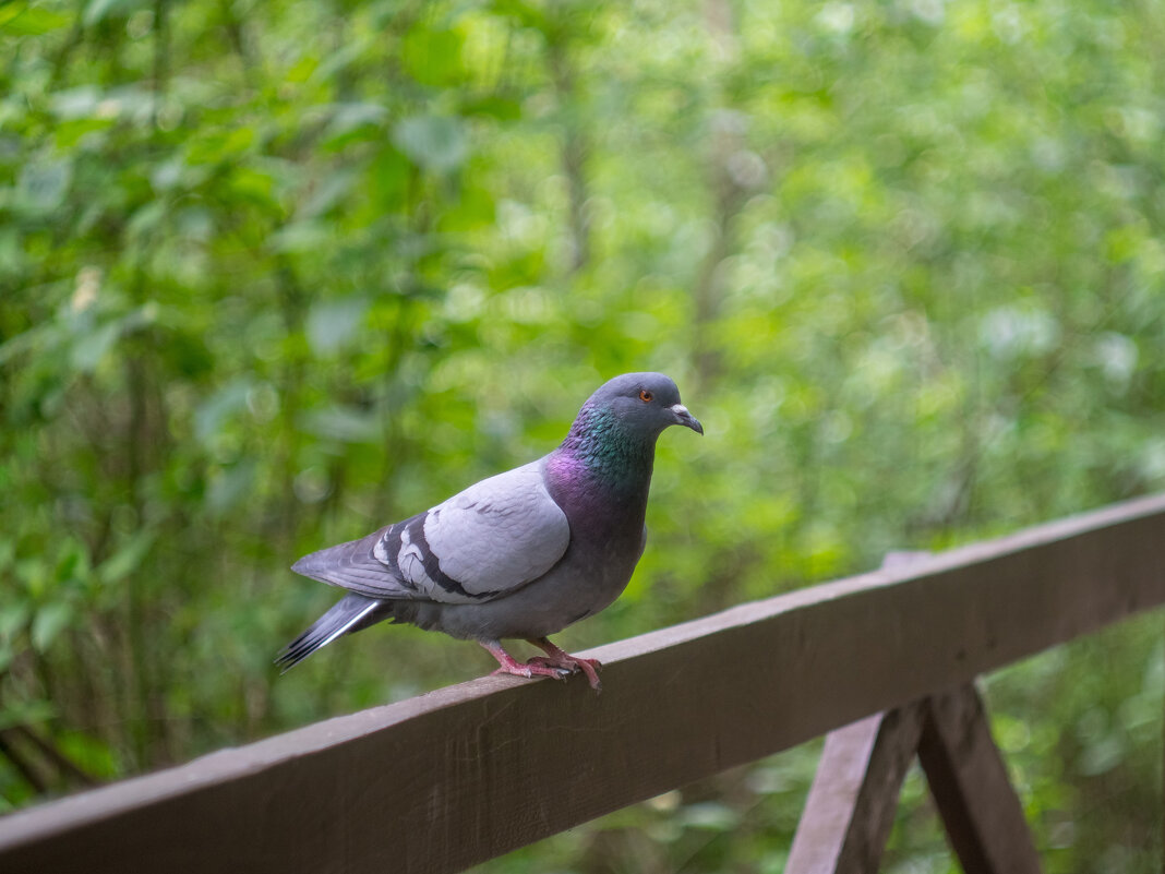 ___ - Yuriy V ___ - Yuriy V