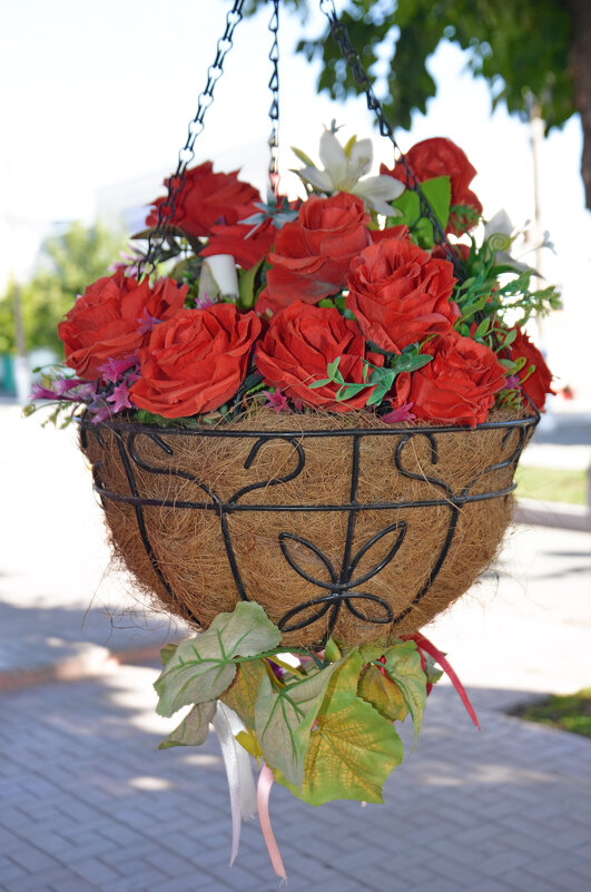 городские цветы - Сергей М 