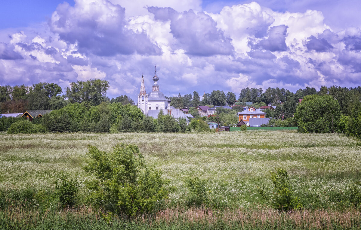 Суздальские виды - Сергей Цветков