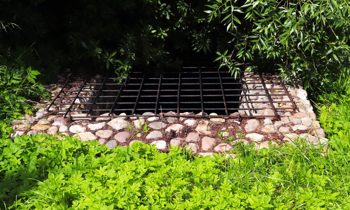 Большой секрет... - Василий Палий