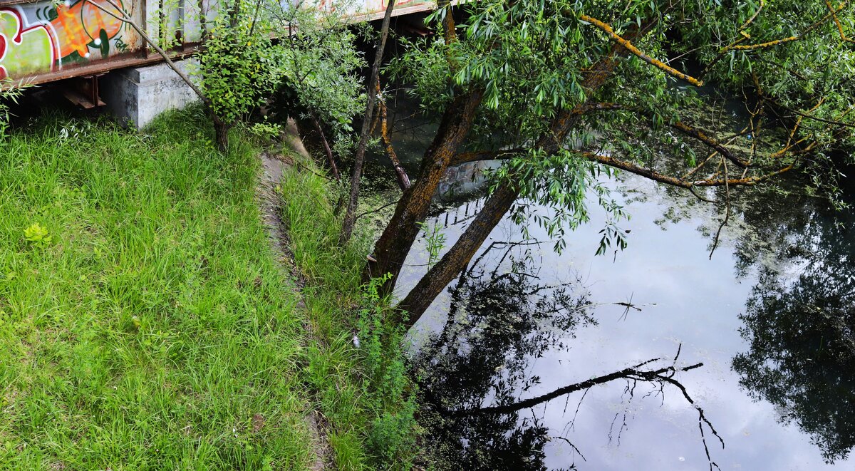 Канал местного значения. - Василий Палий