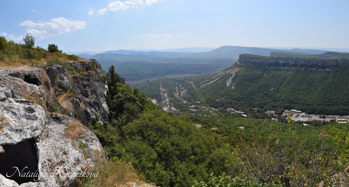 Природа Крыма - Amazing Cosmea