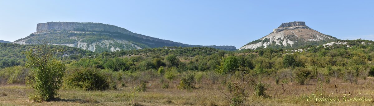 Природа Крыма - Amazing Cosmea