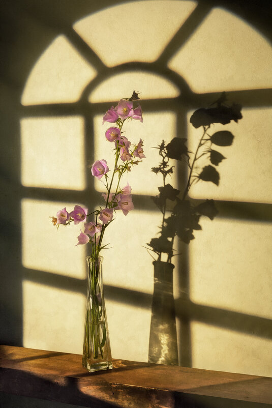 Колокольчик на закате... - Oleg Rastorguev