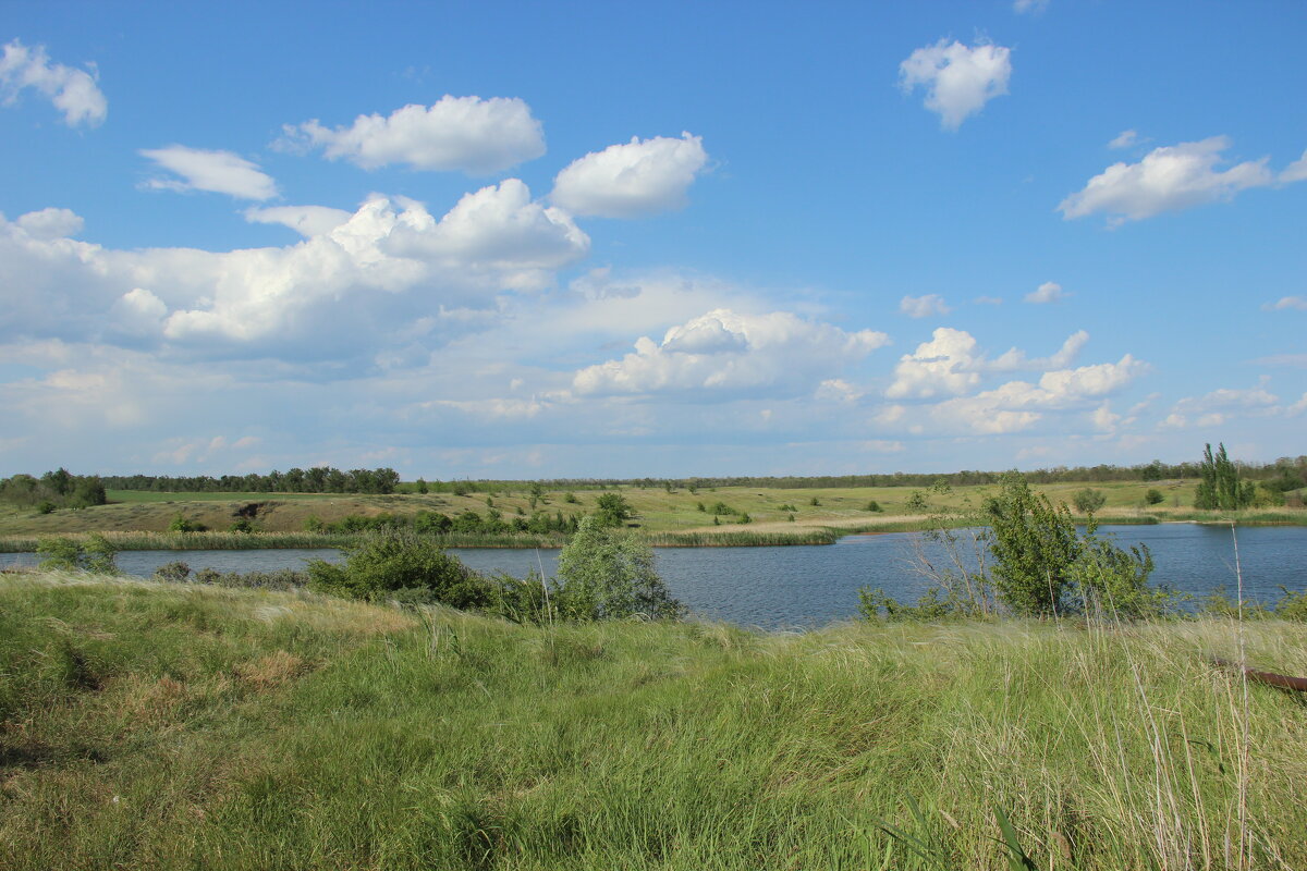 Оазис в степи. - Виктор 
