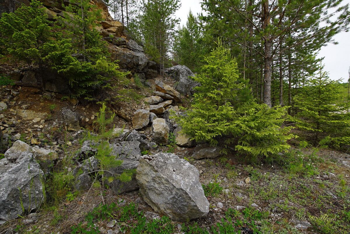 У известнякового карьера... - Николай Гирш