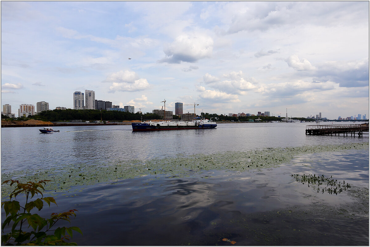 Летнее - Сергей Премонишын