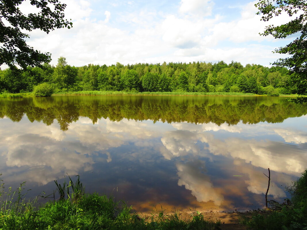 На лесном озере - Андрей Снегерёв