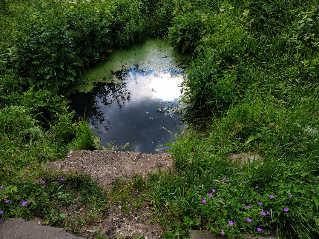 * * * - Андрей Лукьянов * * * - Андрей Лукьянов