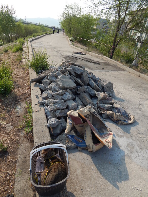 Ремонт набережной - Екатерина Панова Ремонт набережной - Екатерина Панова