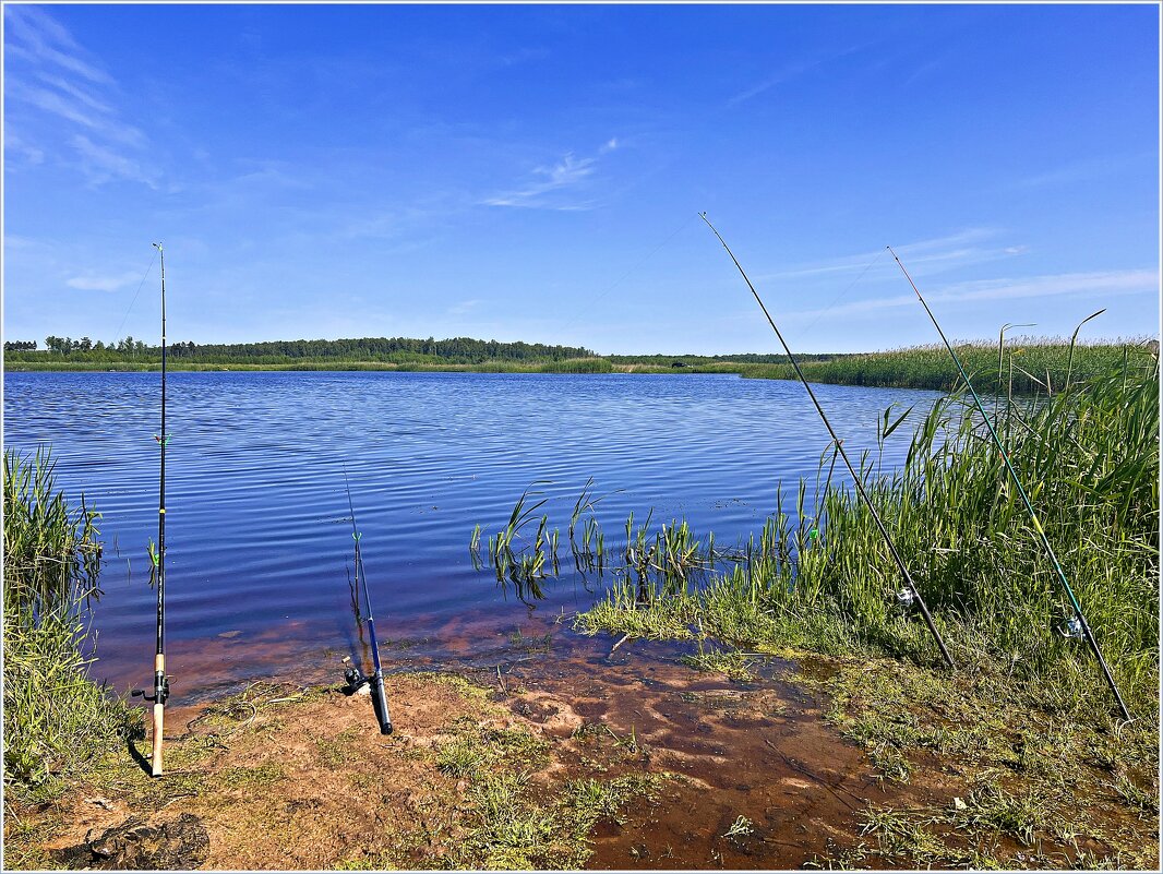 Ловись рыбка........ - Валерия Комова