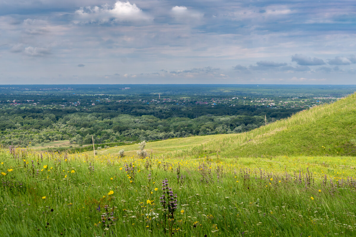 Окрестности - Игорь Сикорский