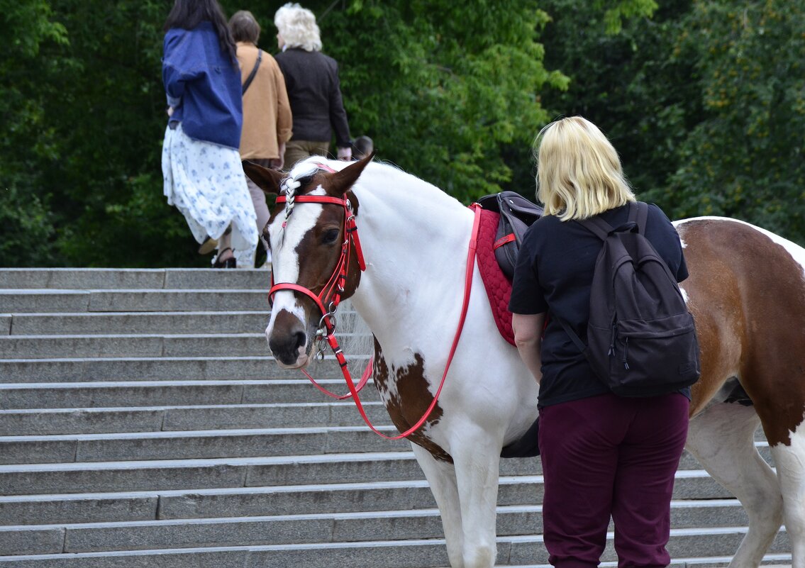 На работе. - Наталья Вязигина