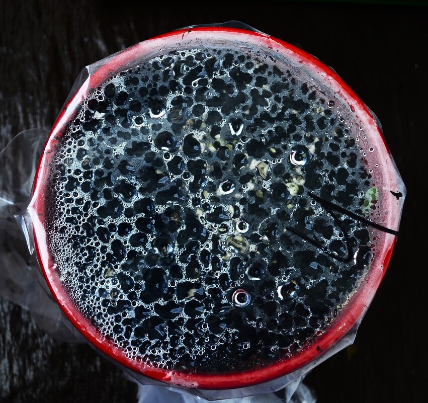 92. Парниковый эффект. - Василий Палий