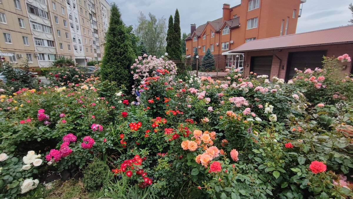 ,,, - Сергей Тимоновский ,,, - Сергей Тимоновский