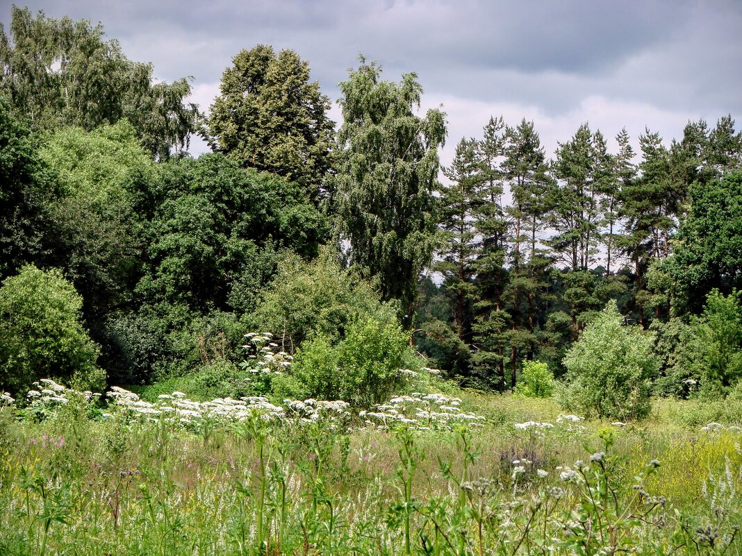 Живописные окрестности речки Битцы - Анатолий Колосов