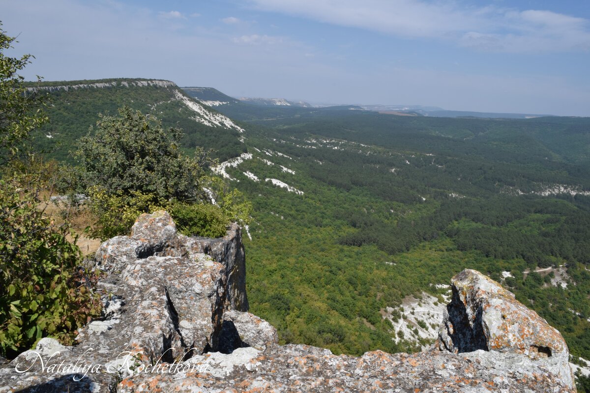 Природа Крыма - Amazing Cosmea